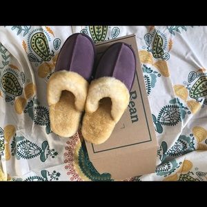 L L Bean Wicked Good Slippers Purple 10
