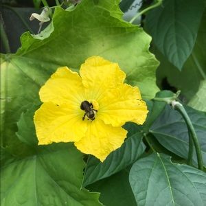 Meet your Posher, Julie