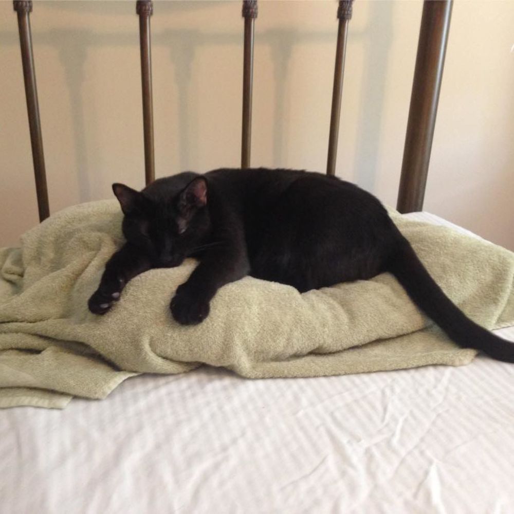 Meet your Posher, Eunice