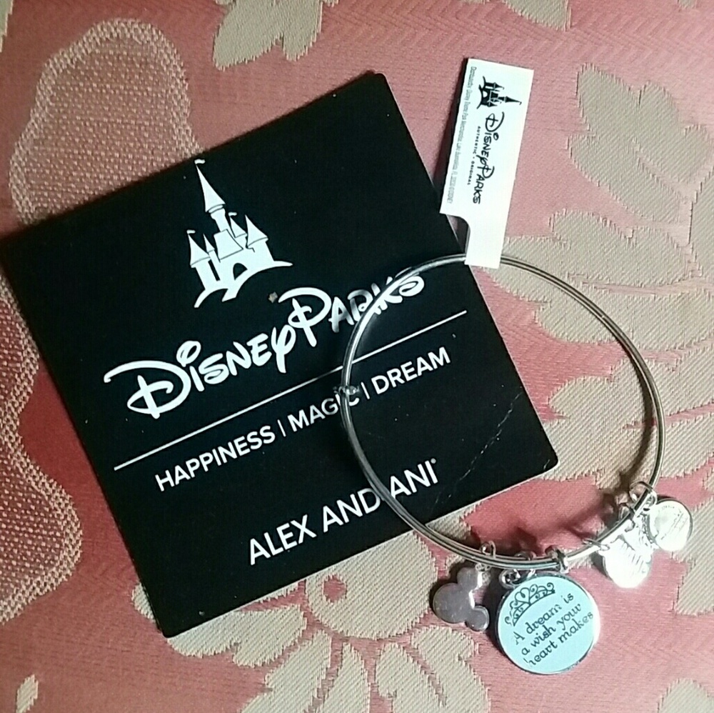 Disney Cinderella "A Dream is a Wish Your Heart Ma