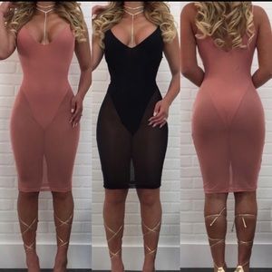 See through mesh with leotard