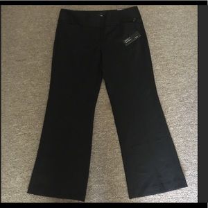 Express Editor Studio Stretch Flare Pants