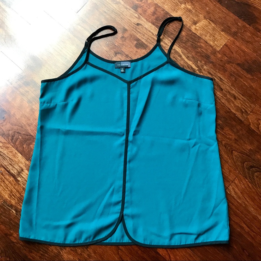 The Limited Blouse