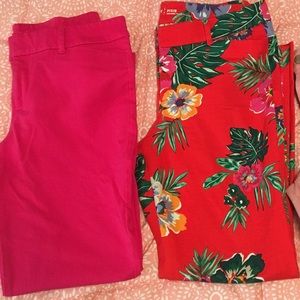 Punk Pink Pixie Pant