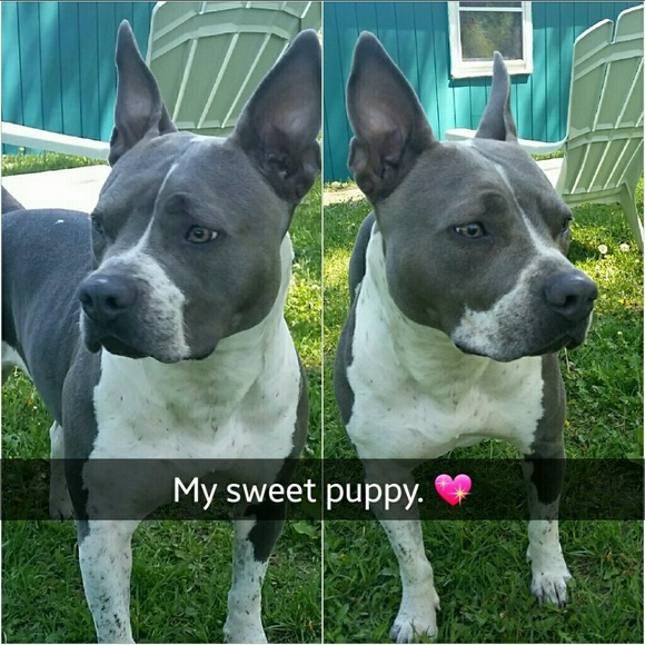 Meet your Posher, Jessica - Picture 3 of 5