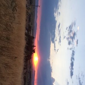 Meet your Posher, Tessa