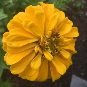 Meet your Posher, Emma