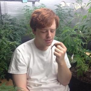 Meet your Posher, William