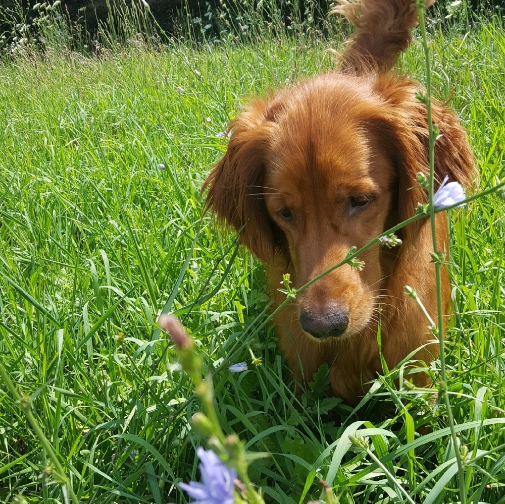 Meet your Posher, Kathryn