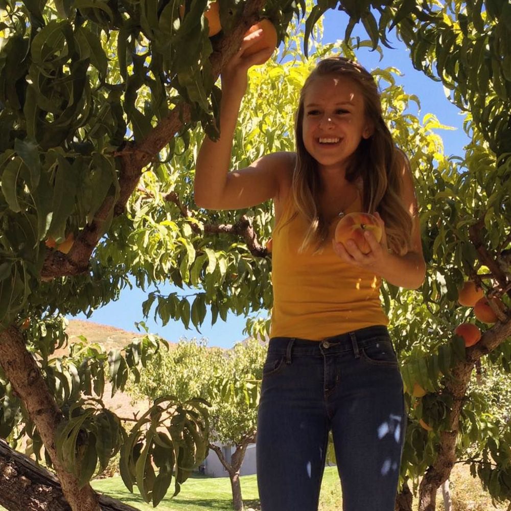 Meet your Posher, Lauren