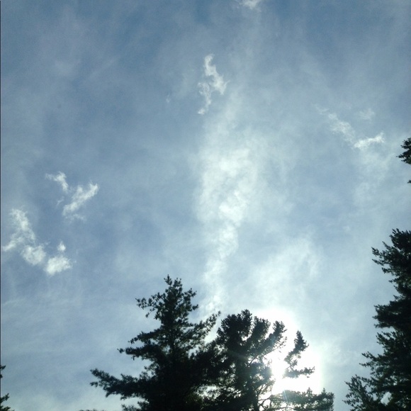 Meet your Posher, Kiran - Picture 1 of 1