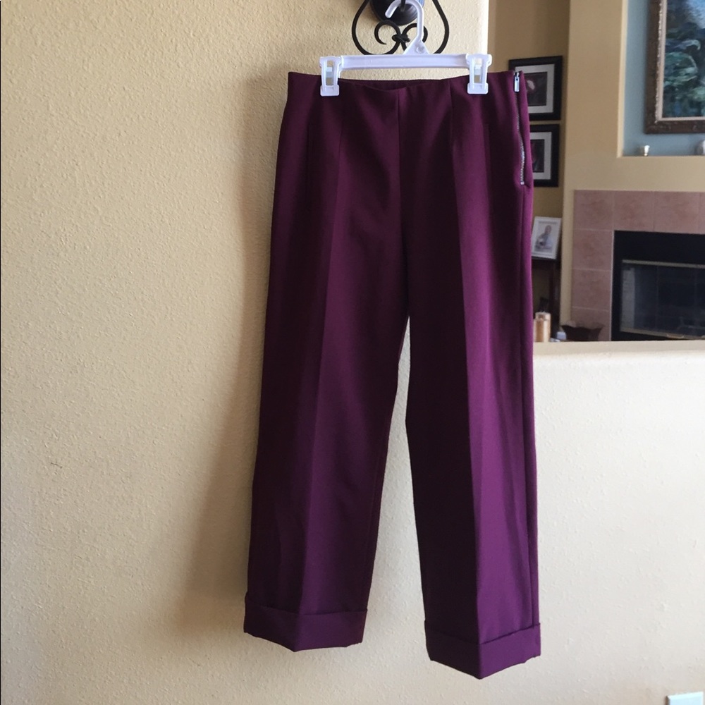 TRF Zara Burgundy pants - Small
