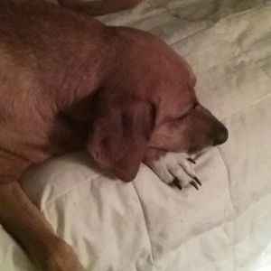 Meet your Posher, Cheryl