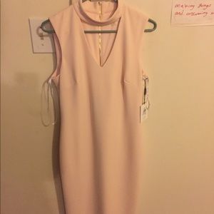 CK dress size 6