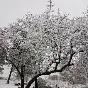 Meet your Posher, Priscilla