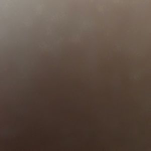 Meet your Posher, Blake