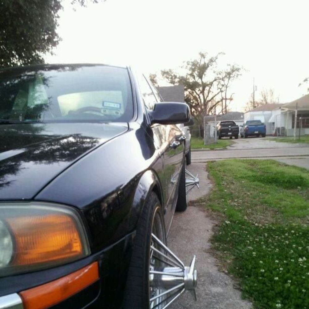 Meet your Posher, Royal