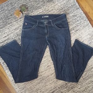 Hudson Striped Flare Jeans