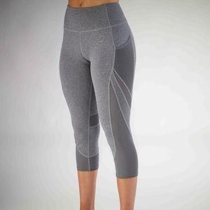 Gym shark sculpture leggings