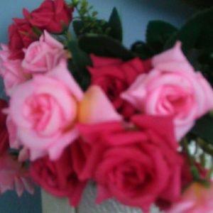 Meet your Posher, Adriana