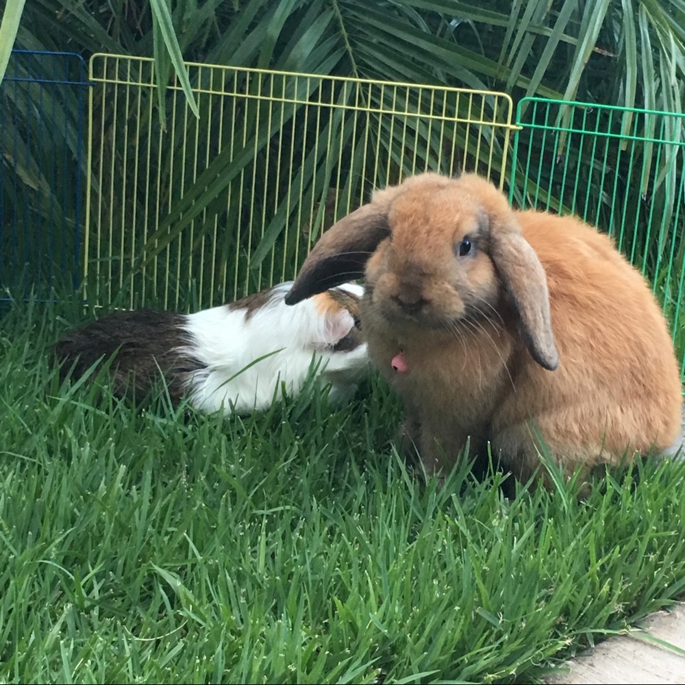 Meet your Posher, Beate