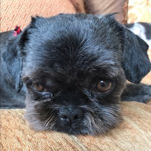 Meet your Posher, Sophia