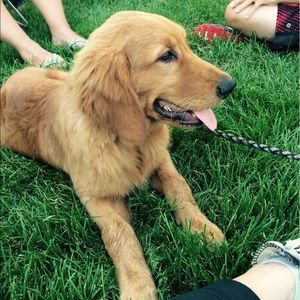 Meet your Posher, Adriana