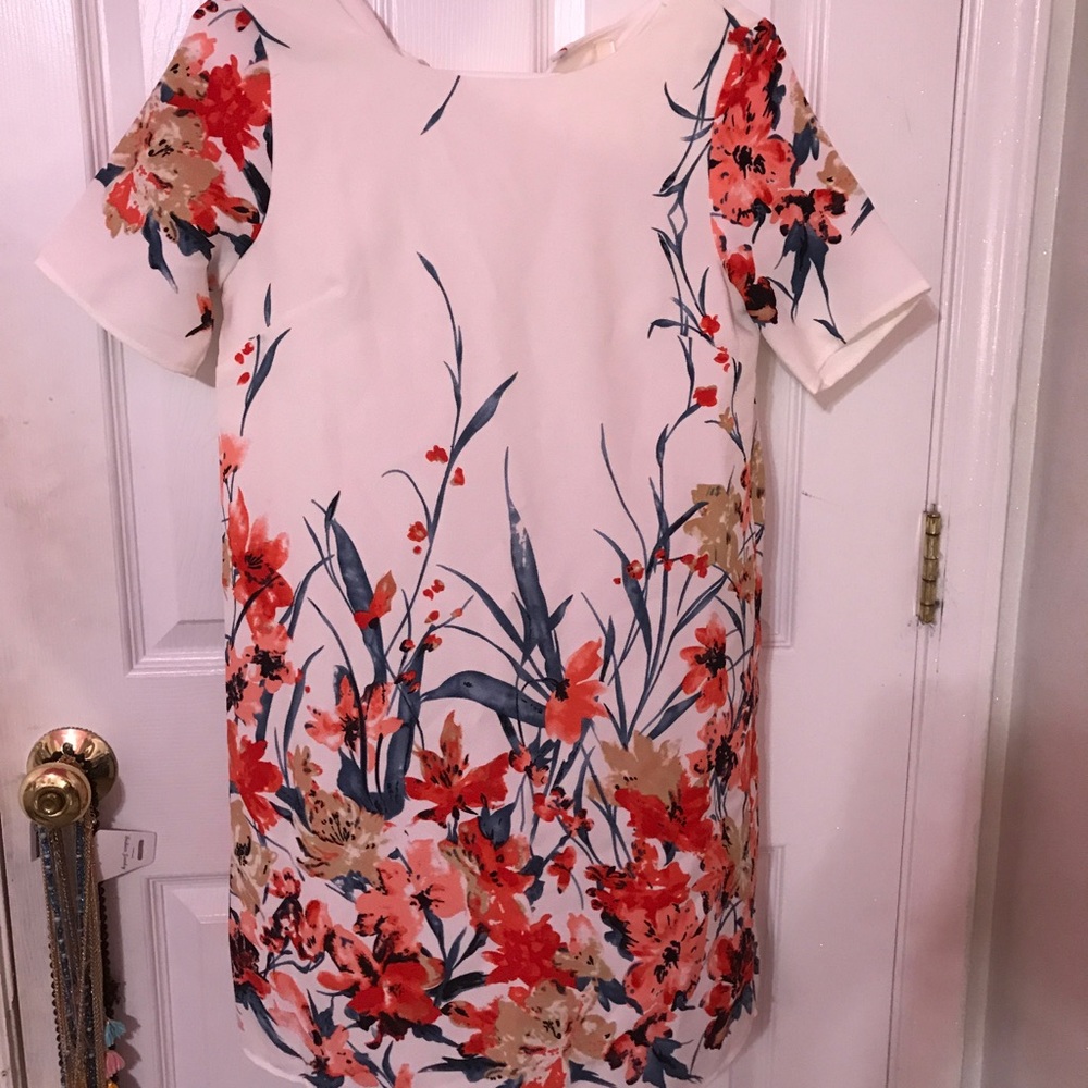 The Mint Julep Boutique Dress