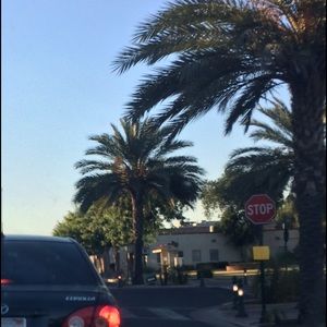 Meet your Posher, Elexine