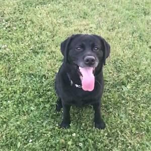 Meet your Posher, Nic