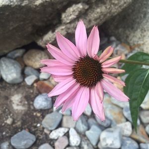 Meet your Posher, Victoria