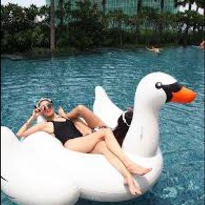 Meet your Posher, Akia