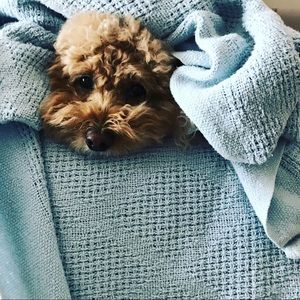 Meet your Posher, Jordyn