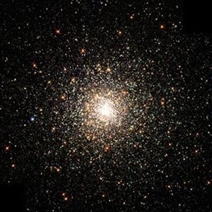 Meet your Posher, Richard