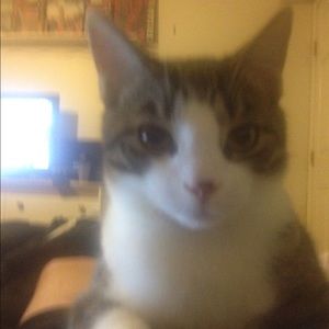 Meet your Posher, Aaron