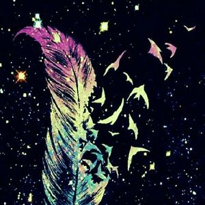 Meet your Posher, Lala