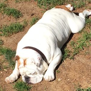 Meet your Posher, Jillian