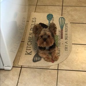 Meet your Posher, Kelley