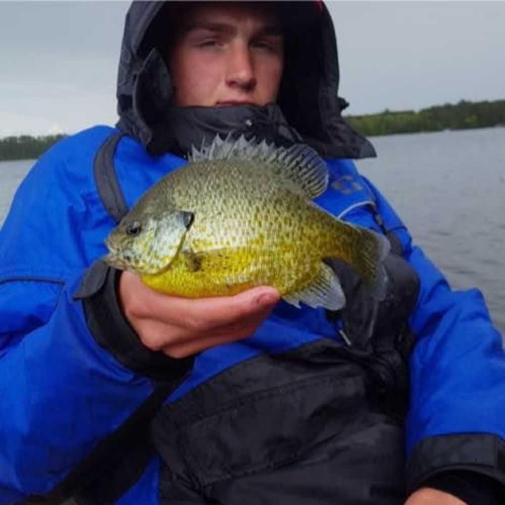 Meet your Posher, Sammy