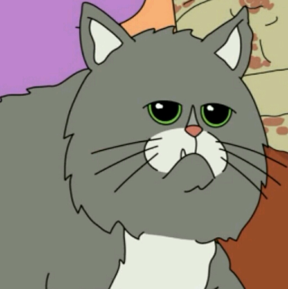 Meet your Posher, Kelli