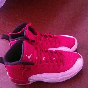 Air jordan 12s