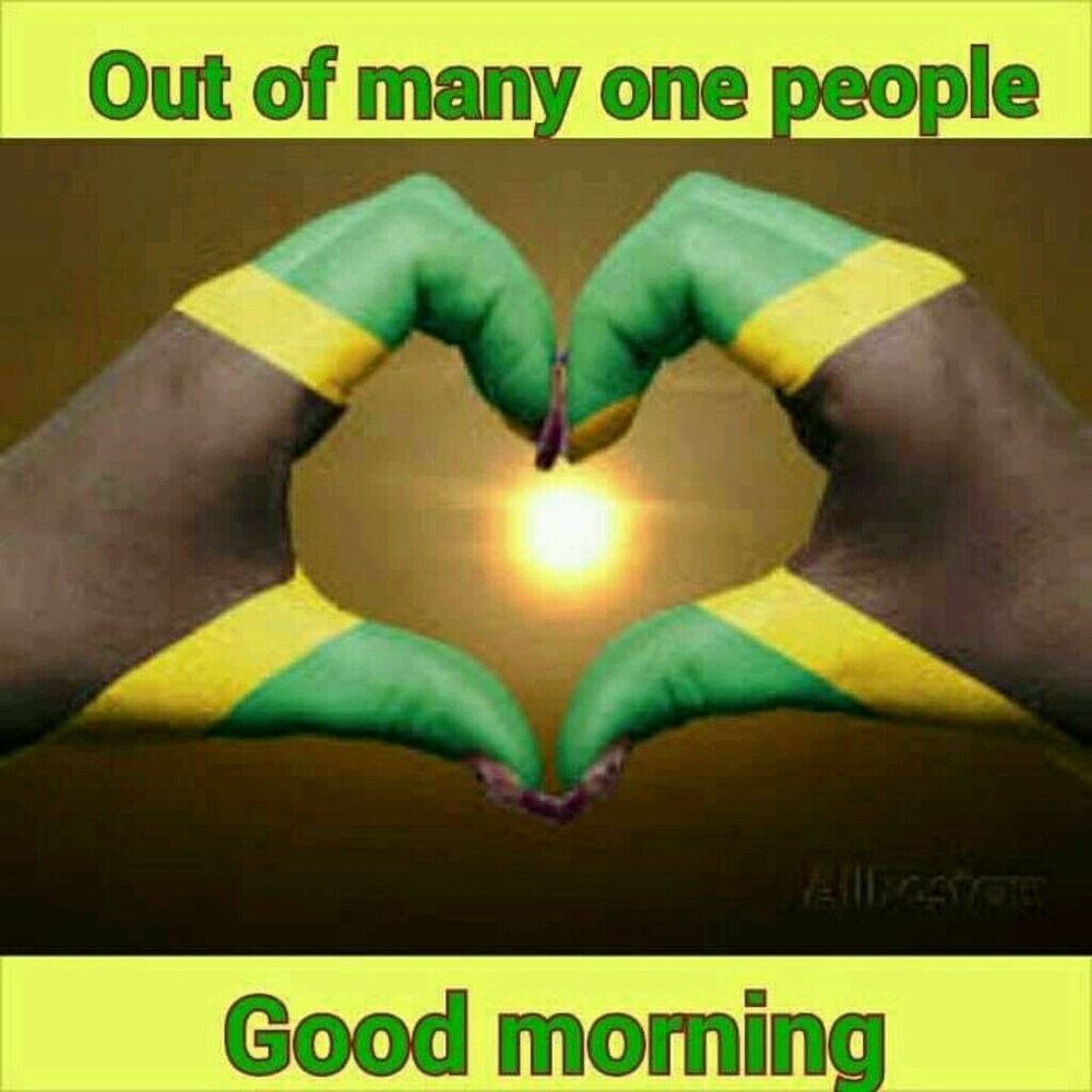 Meet your Posher, Tasha