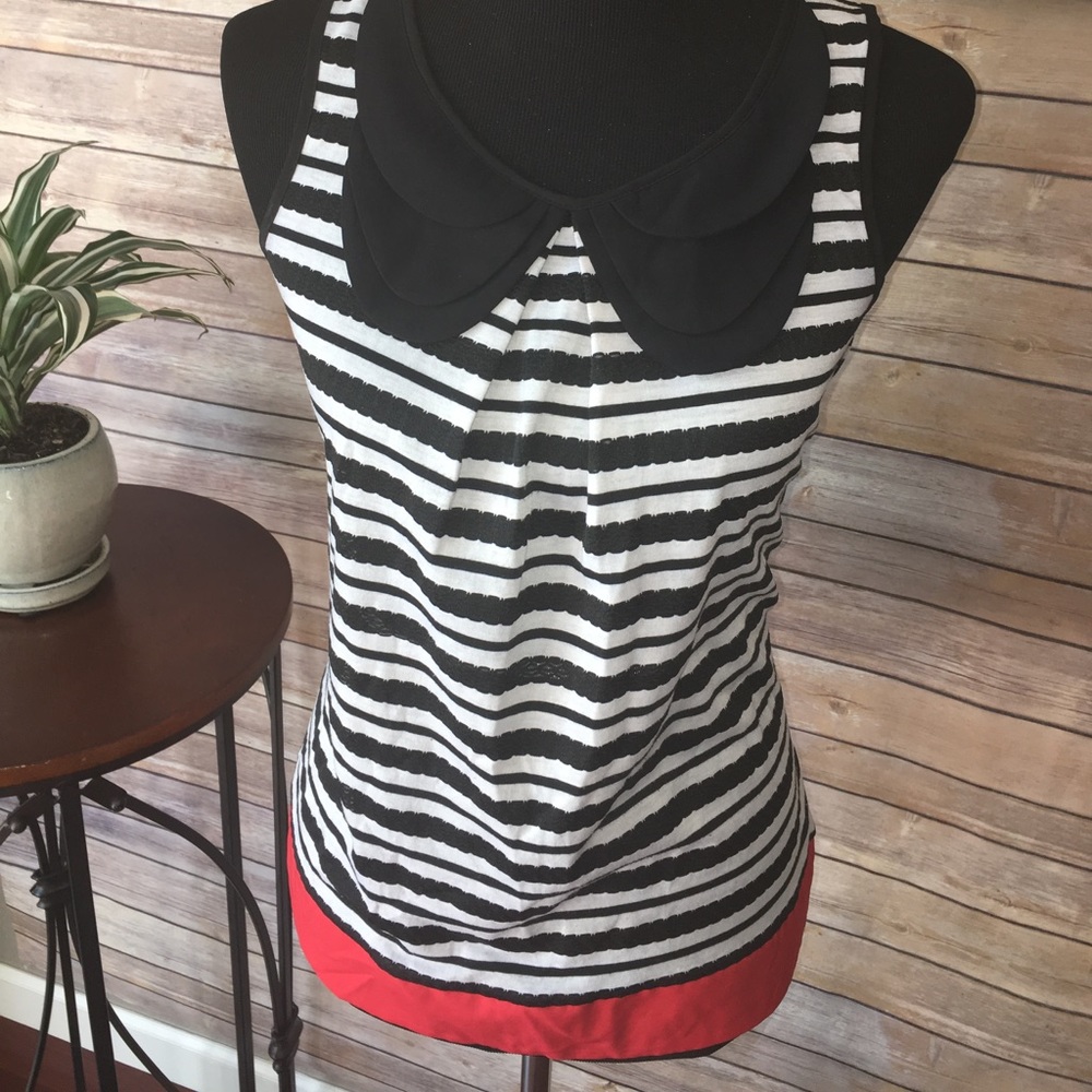 Peter Pan color tunic blouse