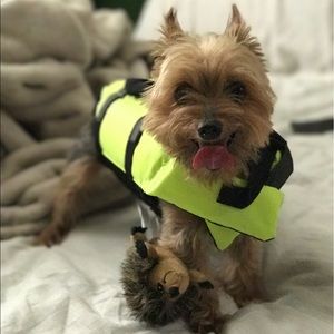 Meet your Posher, Evelyn