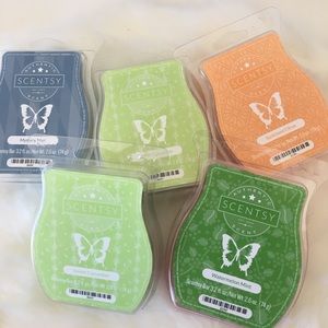 Scentsy fruit bundle + mystery man. New