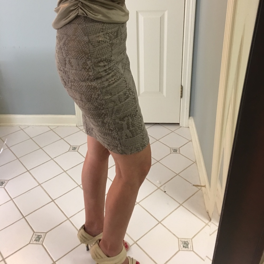 NWT Express skirt
