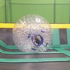 Meet your Posher, Latrice