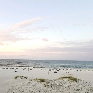 Meet your Posher, Christie