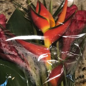 Meet your Posher, Eboni