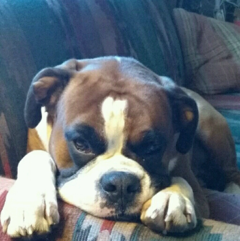 Meet your Posher, Annette